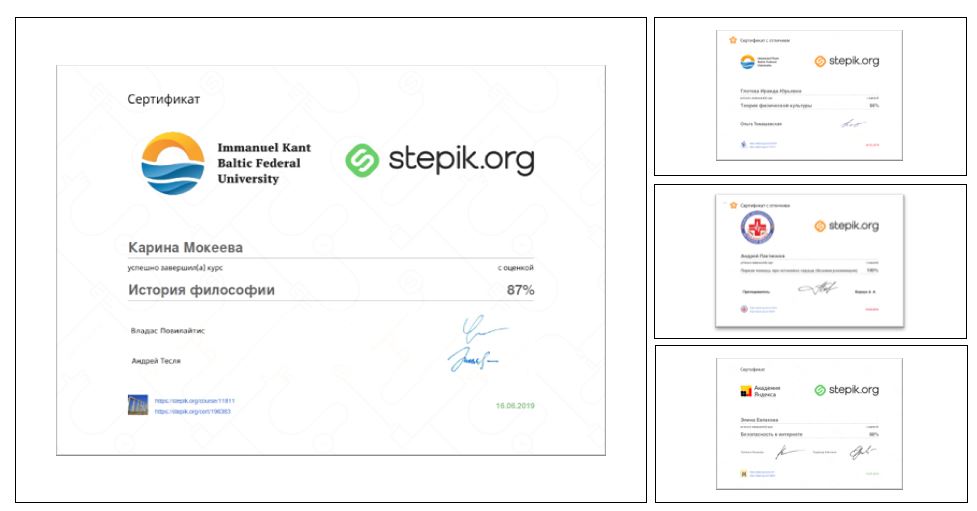 Stepik управление проектами