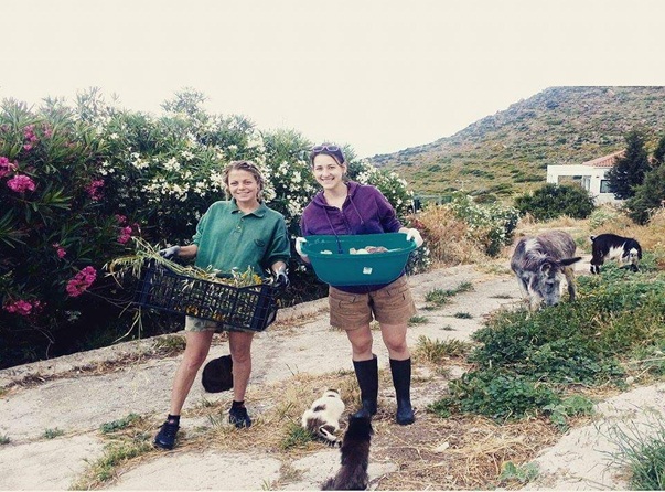 Студентка ЕГФ стала волонтером по спасению диких животных в Греции
